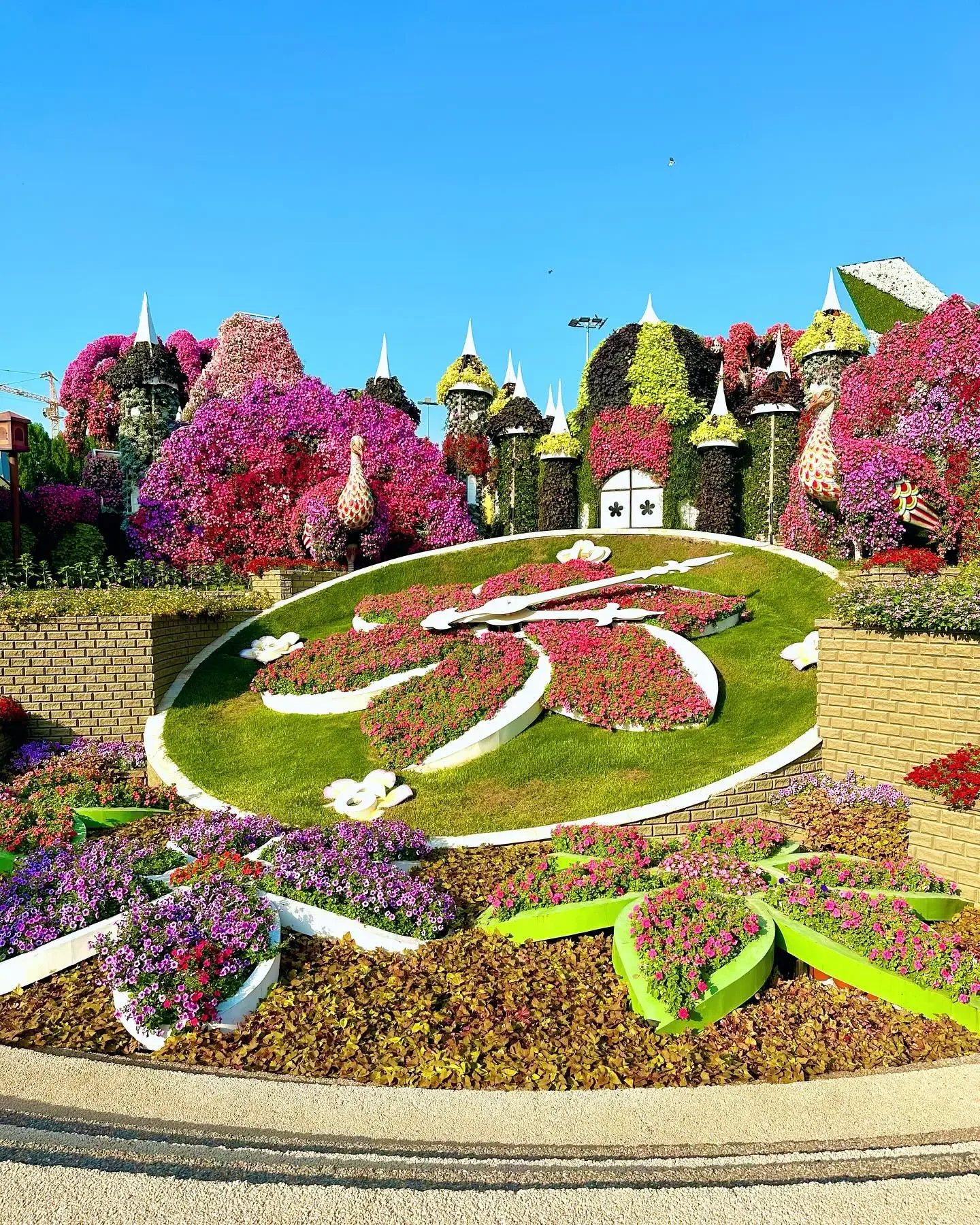 Butterfly Garden Dubai