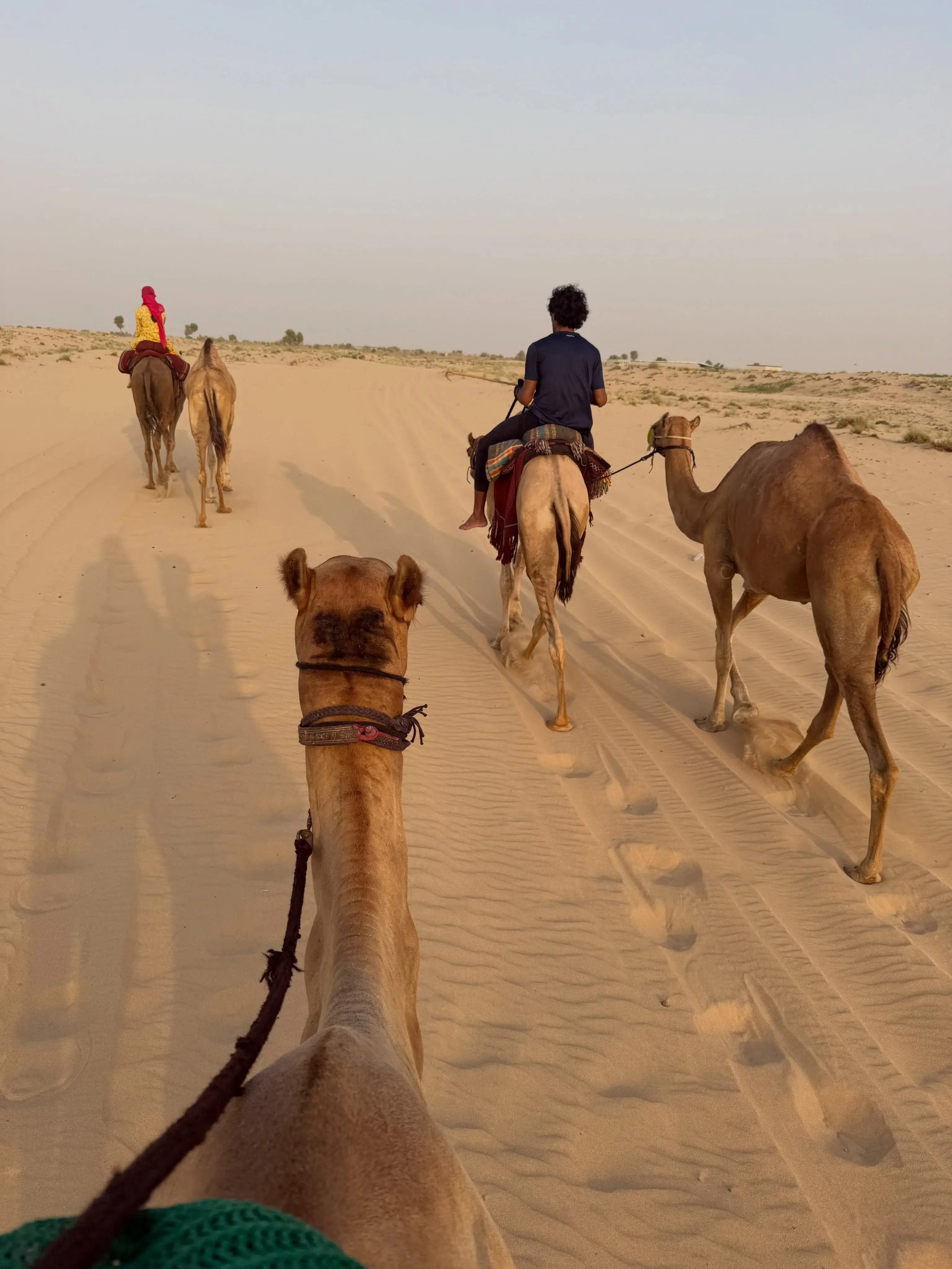 Camel Riding