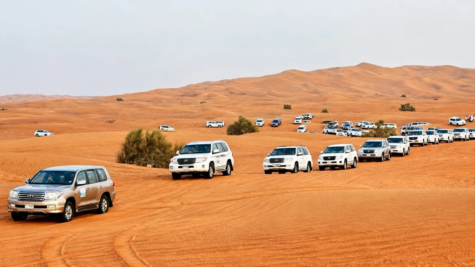 Evening Desert Safari Gallery Image