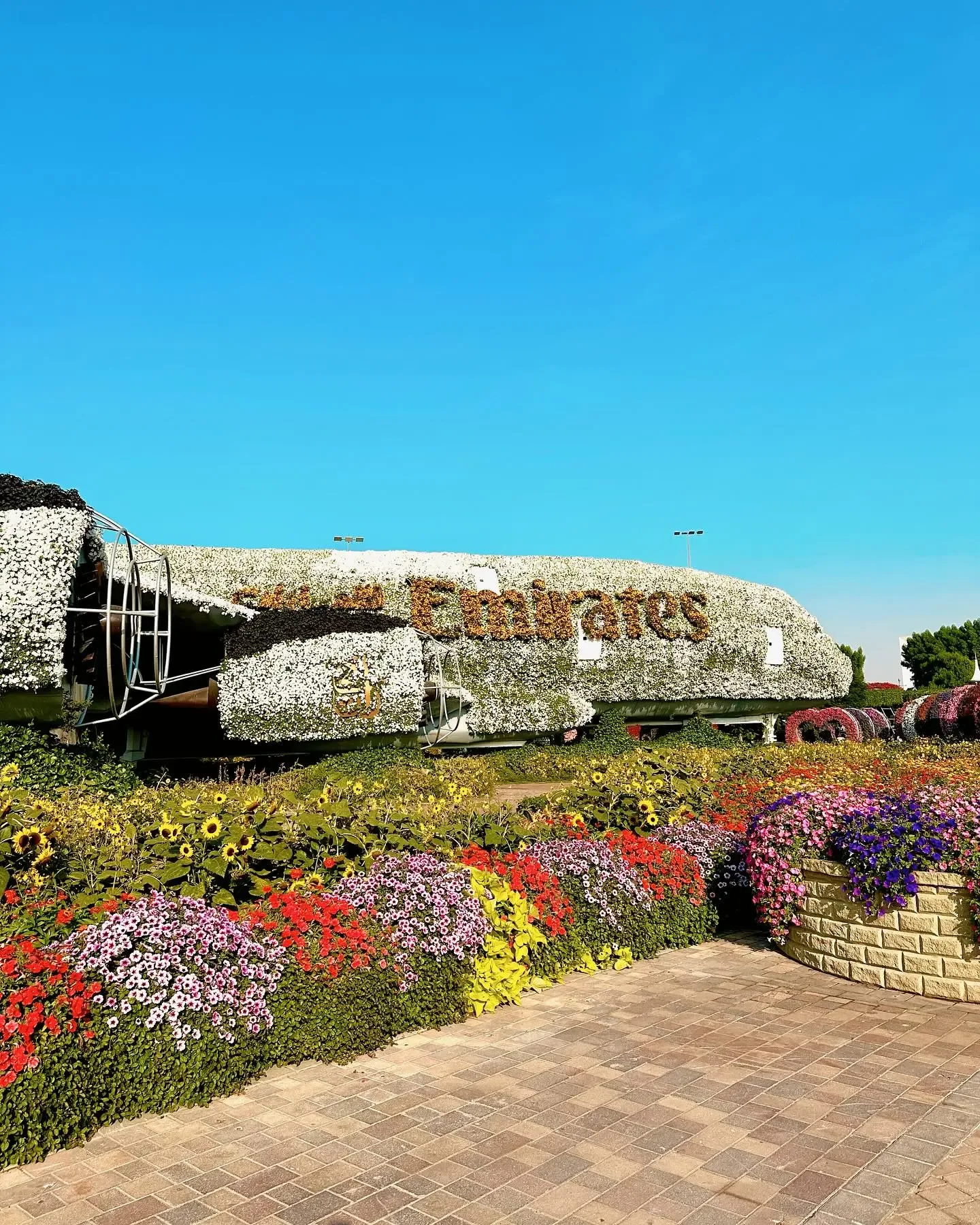 Dubai Miracle Garden entrance surrounded by colorful flowers and garden displays