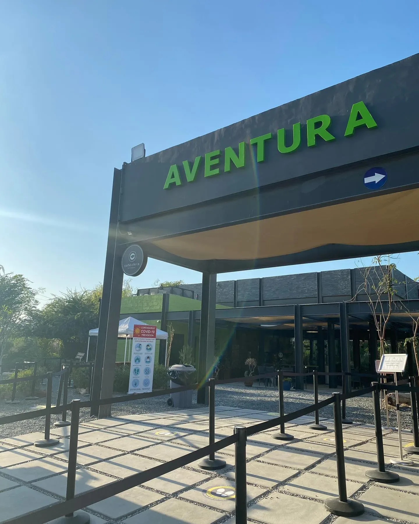 Suspended wooden rope bridge through the forest at Aventura Parks Dubai