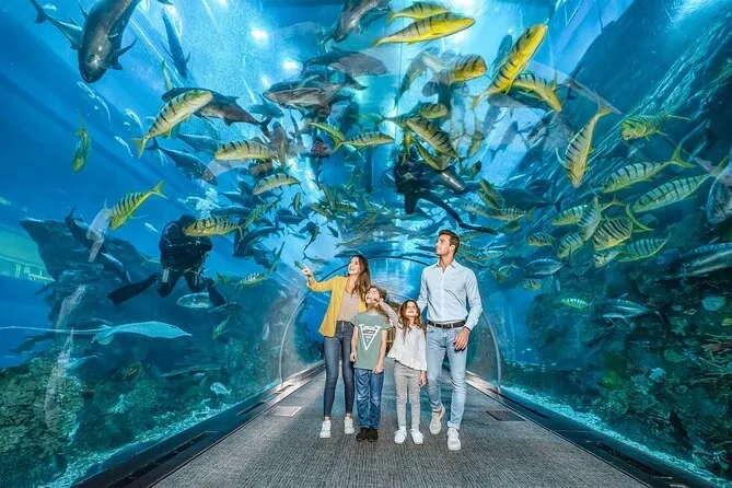 Dubai Aquarium and Underwater Zoo Tickets Gallery Image