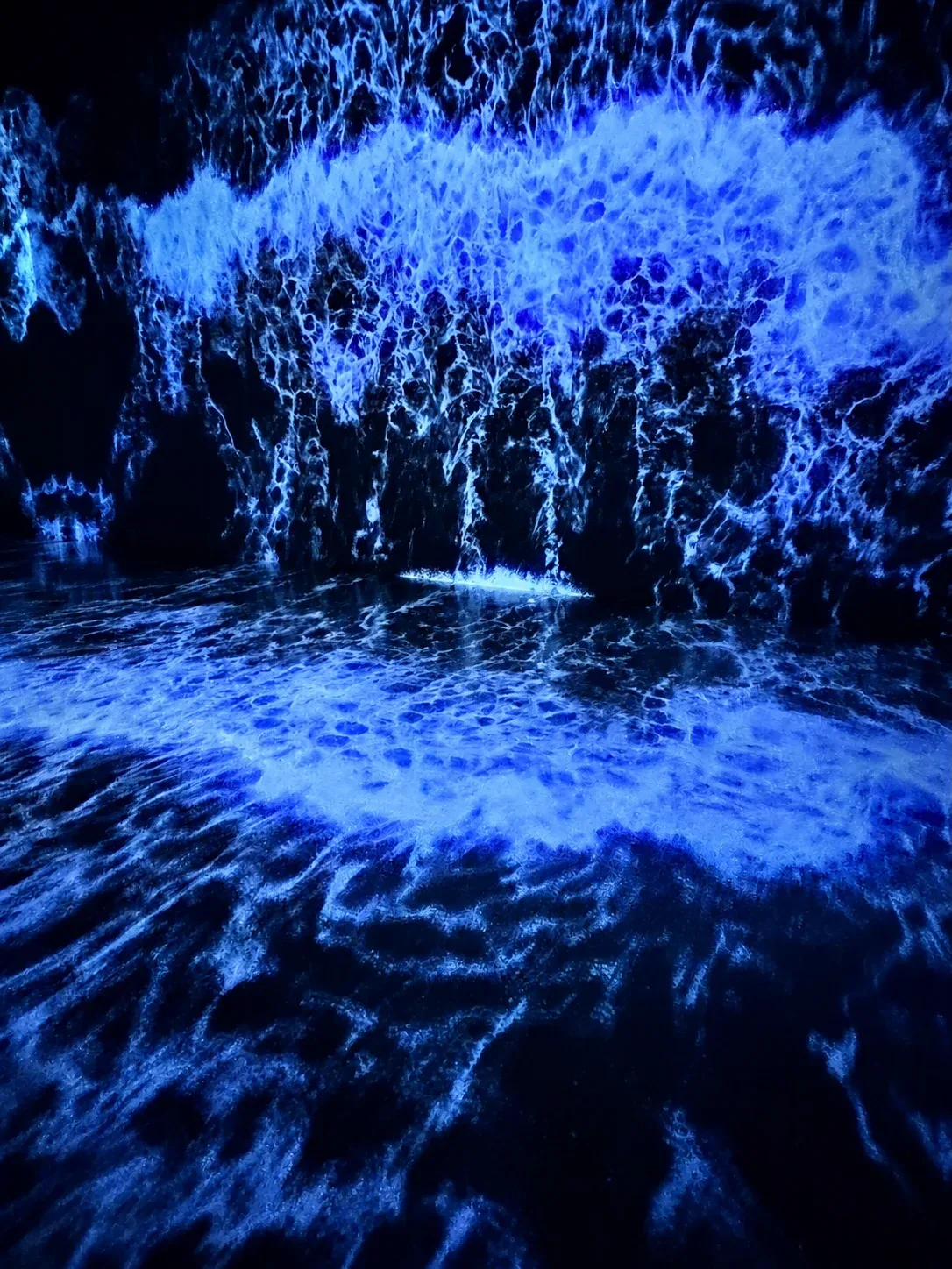 ARTE Museum Dubai immersive blue ocean digital art installation