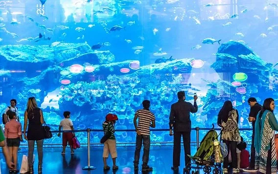 Dubai Aquarium and Underwater Zoo Tickets Gallery Image