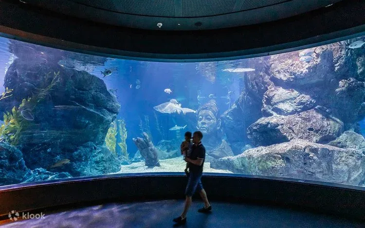 Bangkok Underwater Adventure Pass | Book Bangkok Tour Gallery Image