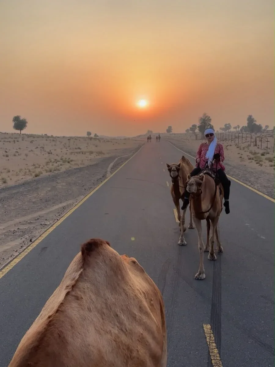 Camel riding experience through the Dubai desert at sunset