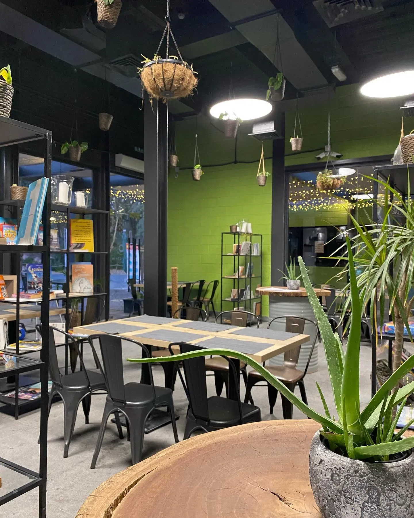 Aventura Parks Dubai cafe interior with seating and hanging plants