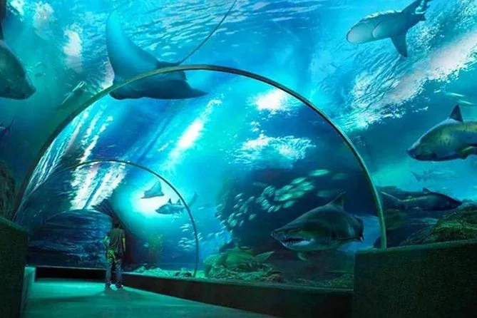 Bangkok Underwater Adventure Pass | Book Bangkok Tour Gallery Image
