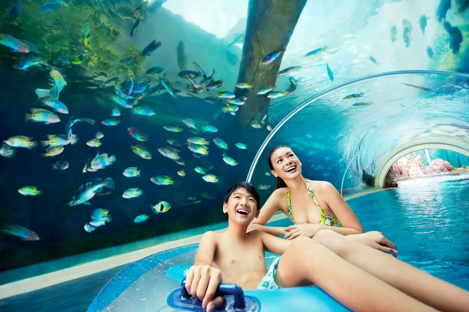 Adventure Cove Water Park Tickets Gallery Image