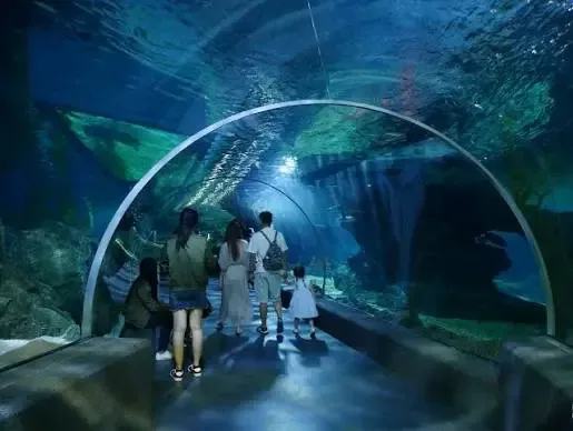 Bangkok Underwater Adventure Pass | Book Bangkok Tour Gallery Image