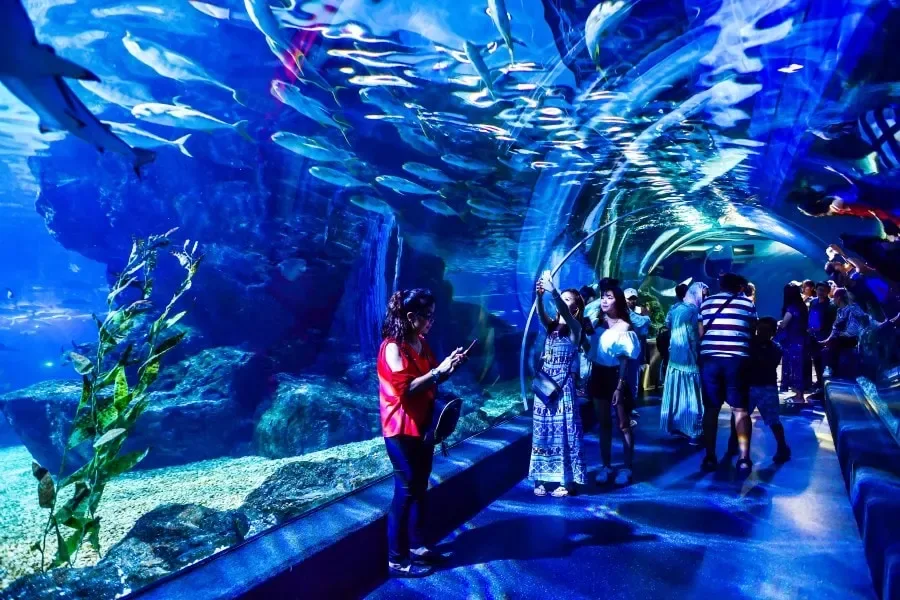 Bangkok Underwater Adventure Pass | Book Bangkok Tour Gallery Image