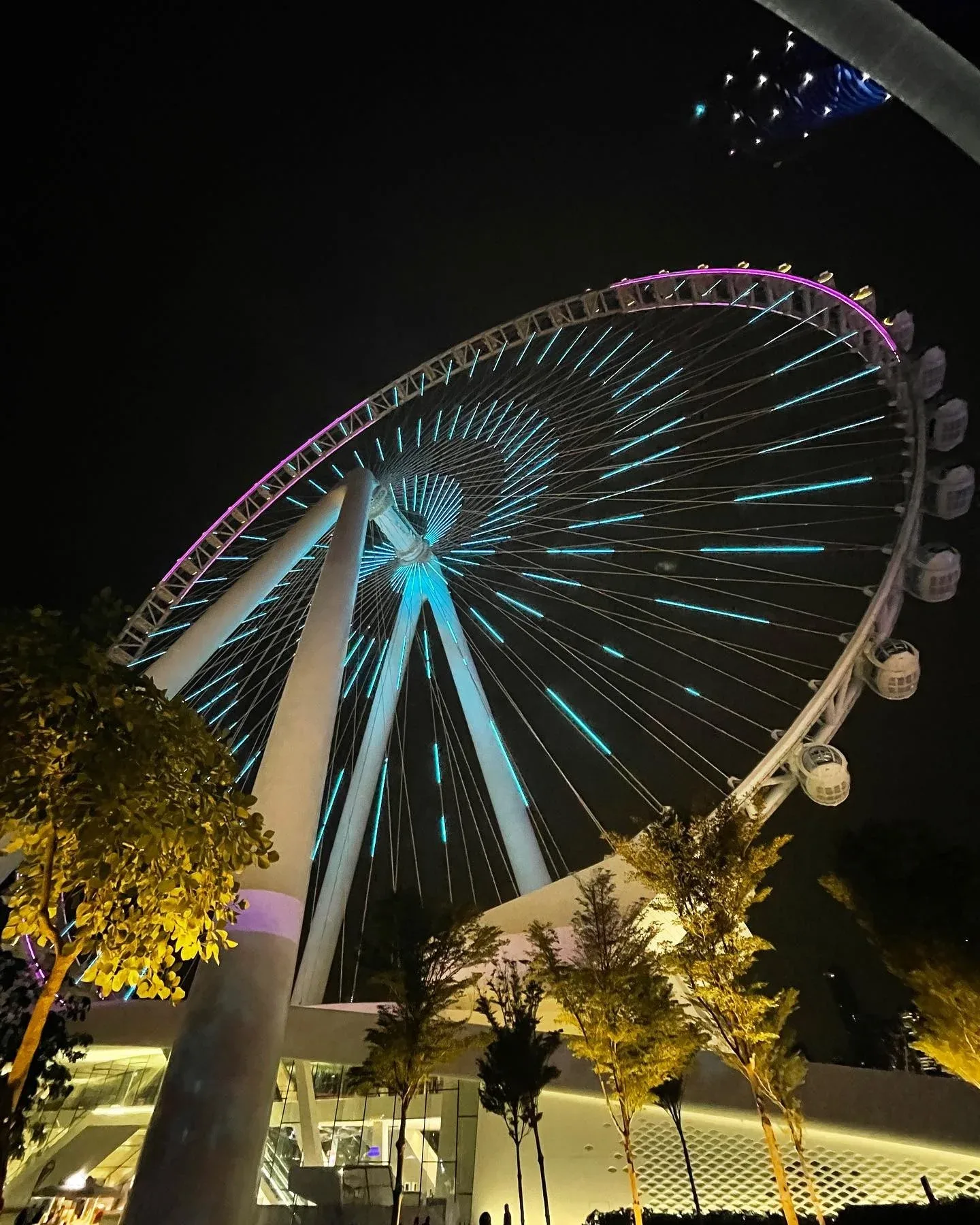 Ain Dubai Observation Wheel illuminated at night on Bluewaters Island
