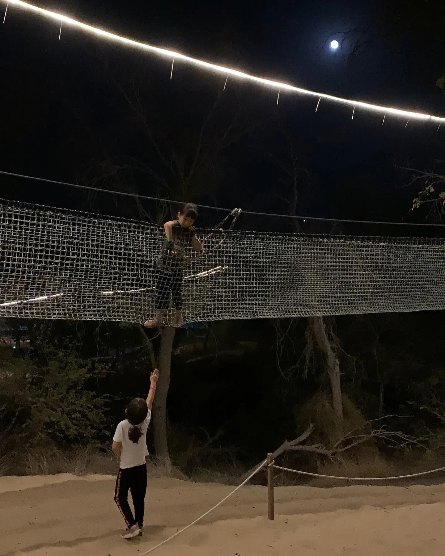 Children enjoying a high ropes adventure course at night at Aventura Parks Dubai