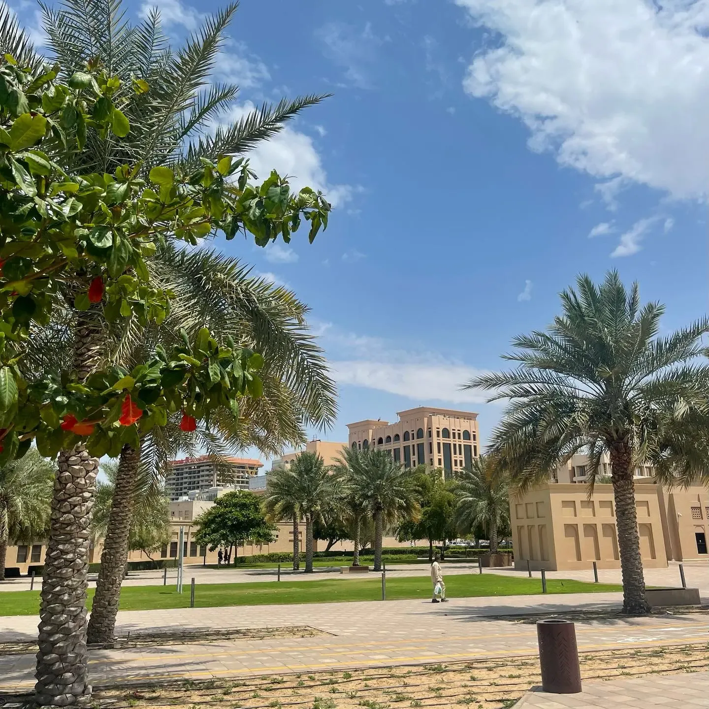 Palm-lined walkway and landscaped heritage area surrounding Al Shindagha Museum in Dubai