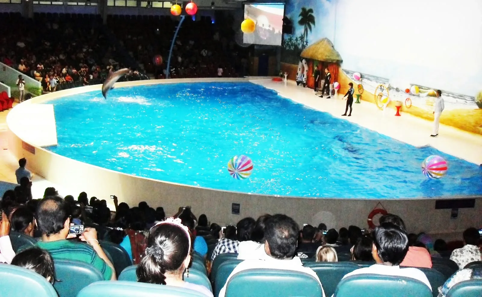 Dubai Dolphinarium Gallery Image