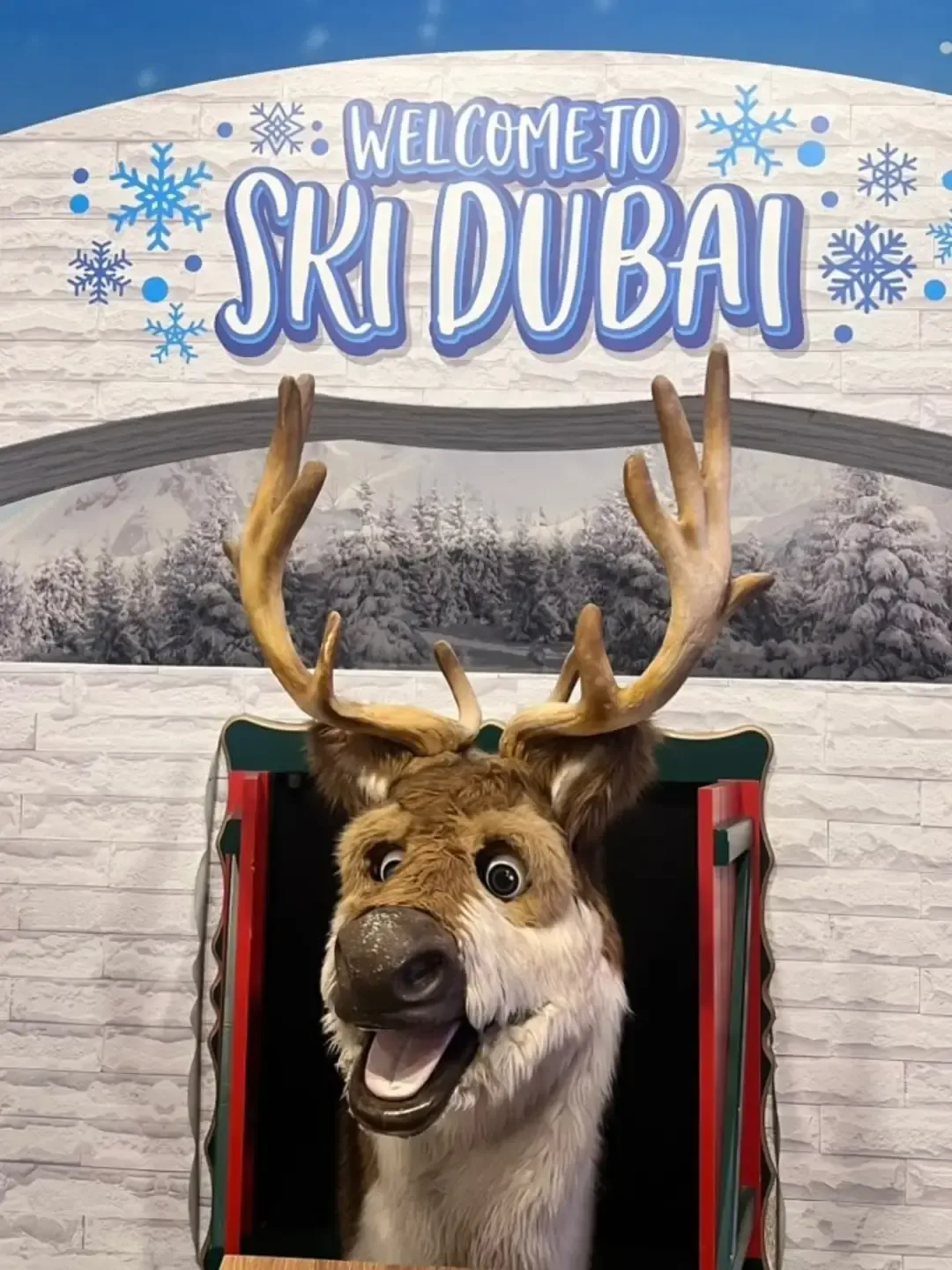 Ski Dubai winter-themed entrance with reindeer decoration and snowy backdrop