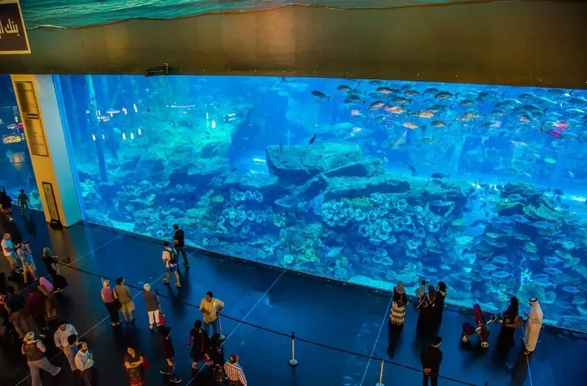 Dubai Aquarium and Underwater Zoo Tickets Gallery Image