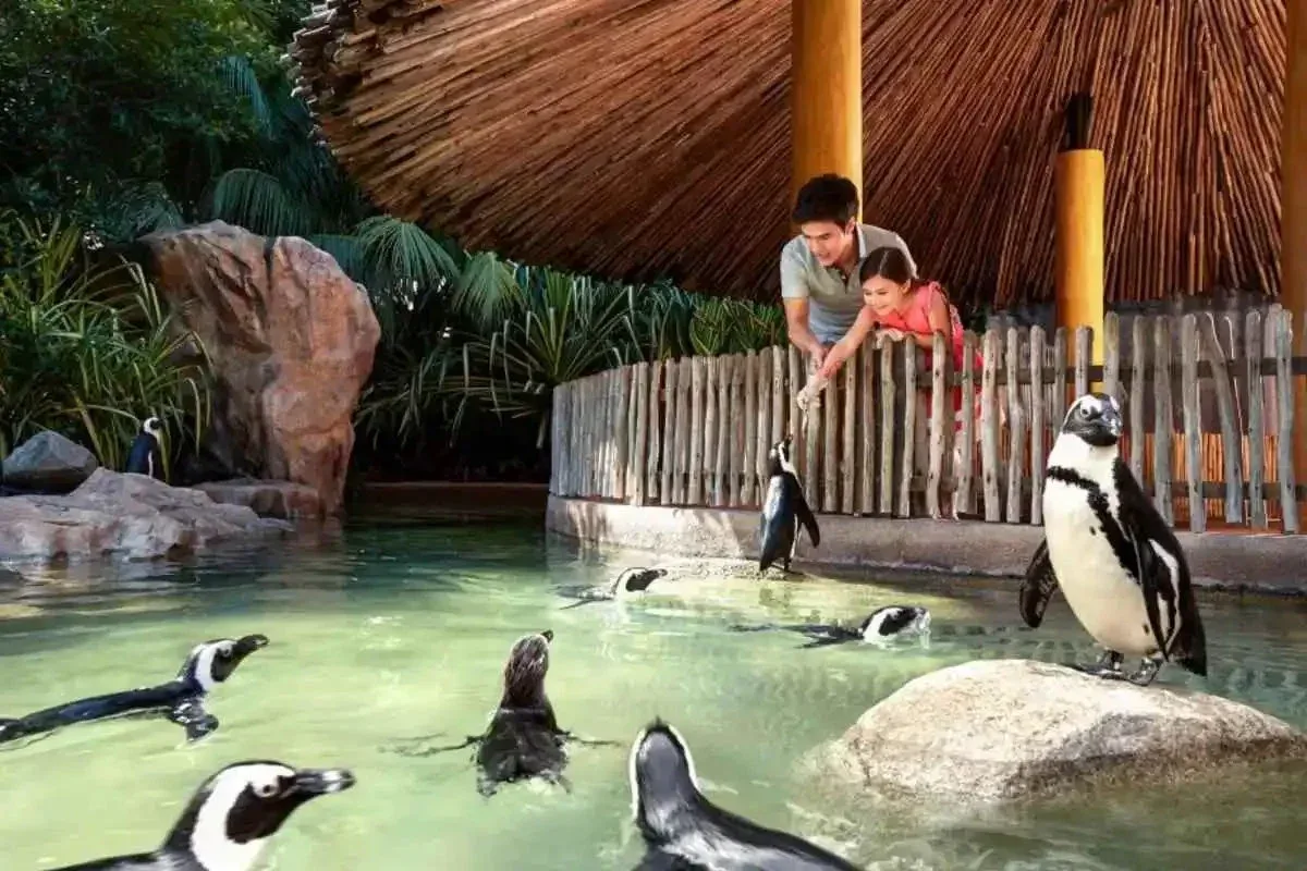 Singapore Zoo with Tram Ride Gallery Image