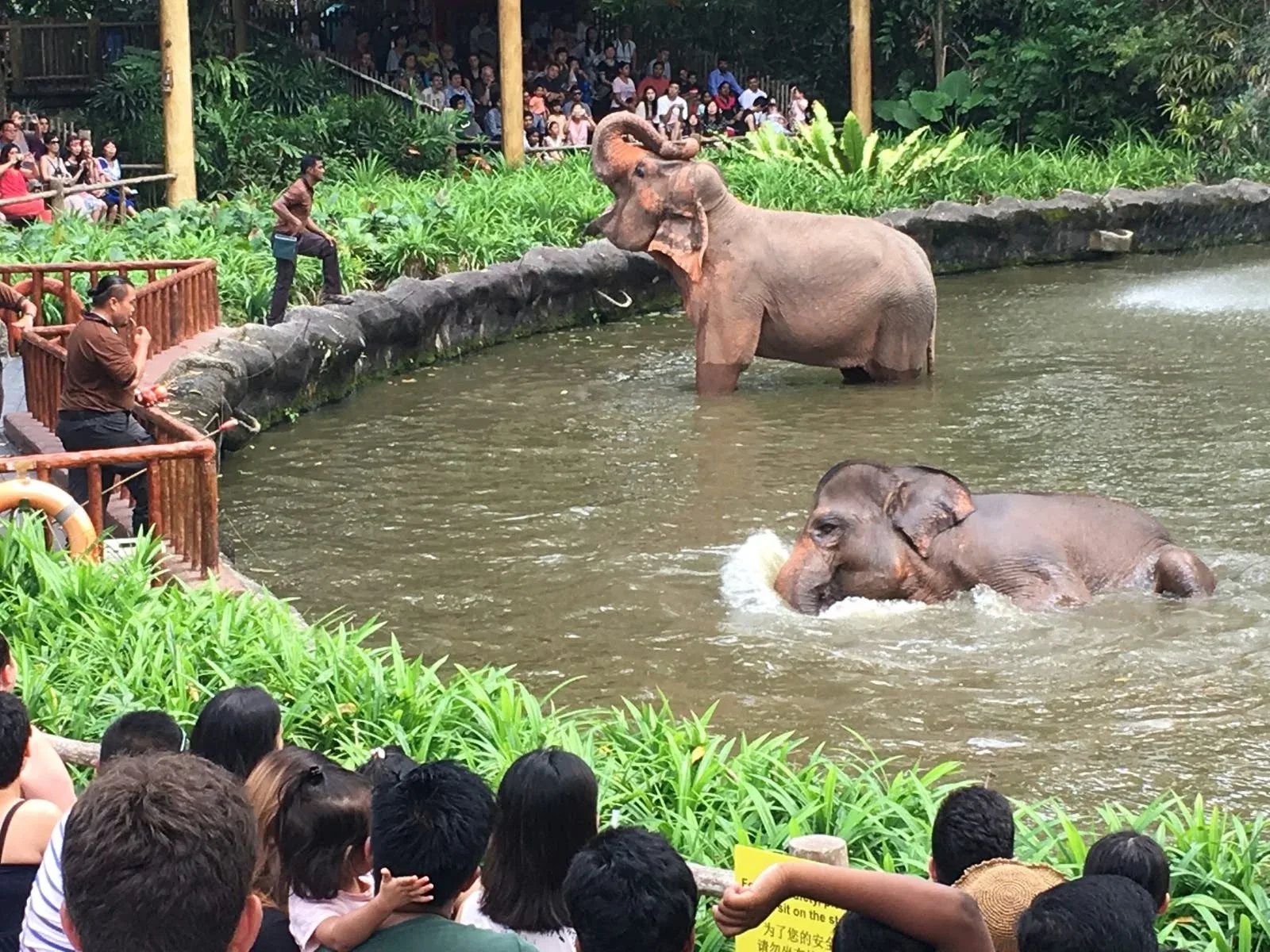 Singapore Zoo with Tram Ride Gallery Image