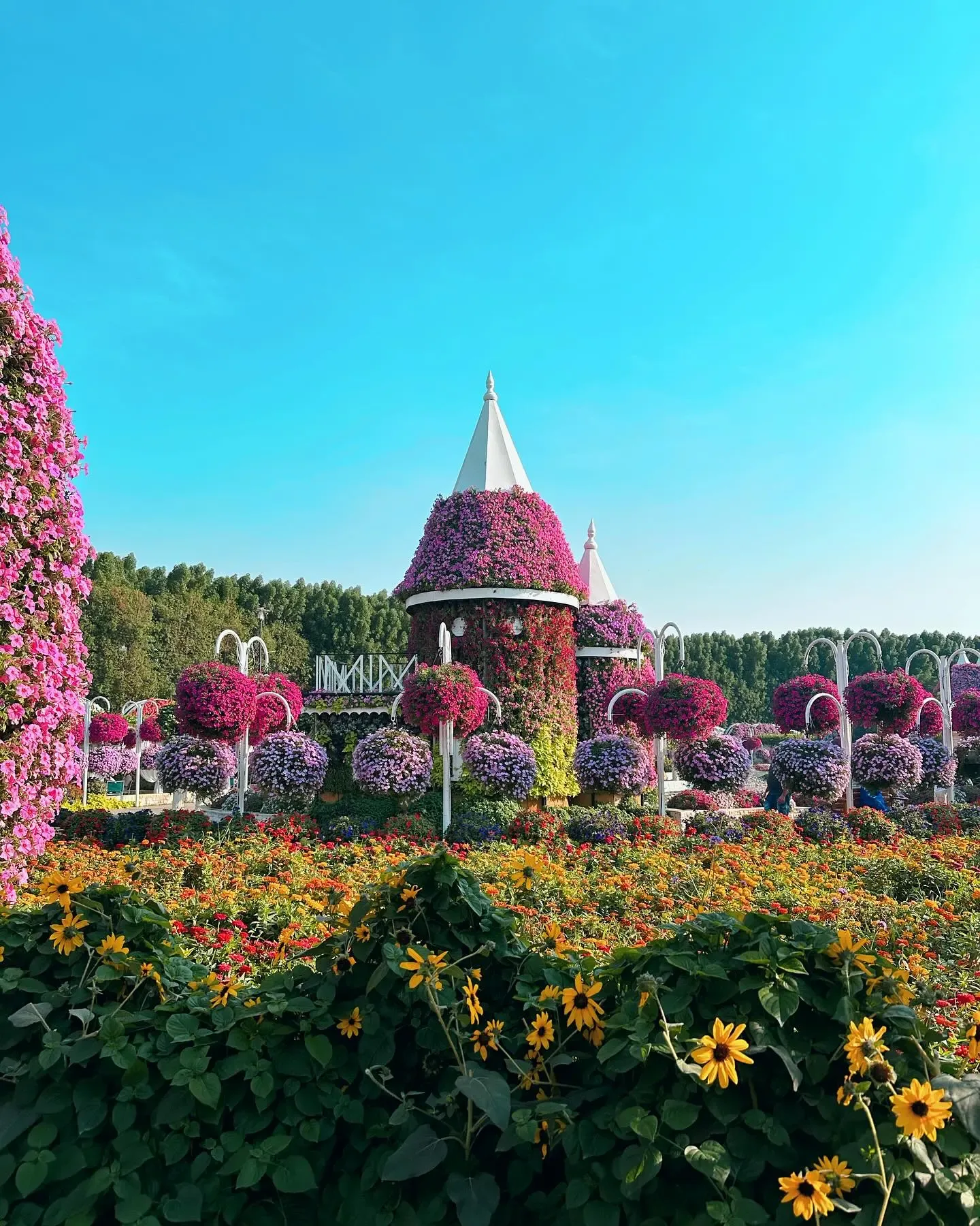 Colorful flower tower and garden displays at Dubai Miracle Garden